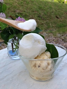 海と山のコラボアイスセット（12個）【 アイスクリーム 食べ比べ カップアイス 12個入 ミルク キャラメル セット 詰め合わせ 贈り物 贈答 プレゼント 人気 アイス あいすくりーむ 手作り フレッシュミルク 焼きいも バニラ 抹茶 藻塩ヨーグルト 】Ａ-21