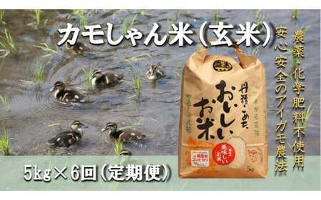 【6回定期便】令和7年度産コシヒカリ 「カモしゃん米」（玄米）5kg 【 こしひかり お米 農家直送 無農薬 化学肥料不使用 玄米 安心 安全 新米 令和6年度産 D-155】