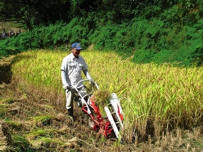 令和７年度産AKOMEYA TOKYO特別栽培米 コシヒカリ 窒素充填2kg×9回 定期便【コシヒカリ こしひかり 真空パック 減農薬 特別栽培米 贈答用 プレゼント ギフト アコメヤ D-308 】
