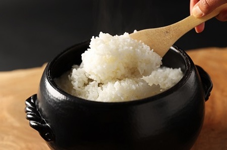 島根県飯南町産こしひかり（２kg×４袋） ×６回 【 米 コシヒカリ ブランド米 小分け 便利 贈答用 プレゼント 精米 玄米 新米 選択可能 D-65 】