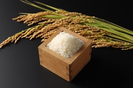 島根県飯南町産 こしひかり（２kg×４袋）【 米 コシヒカリ  ブランド米 小分け 新米 便利 贈答用 プレゼント 精米 玄米 選択可能 Ａ-76 】