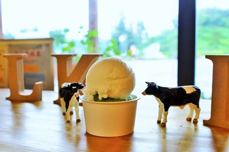 出雲「食べるお茶」アイス（６個）【Ａ-22 アイスクリーム ギフト アイス 贈答 詰め合わせ ミルク低温殺菌生乳 スイーツ お茶 】