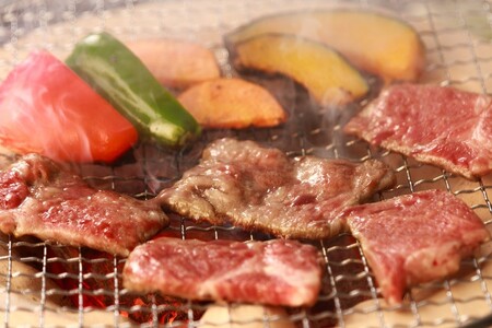 【年内発送11月30日まで受付】奥出雲和牛肩ロース焼肉用550g 【しまね和牛 BBQ 肉質日本一 贈答用 冷蔵 チルド 日時指定 Ｂ-10】