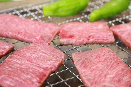 奥出雲和牛肩ロース焼肉用550g 【しまね和牛 BBQ 肉質日本一 贈答用 冷蔵 チルド 日時指定 Ｂ-10】