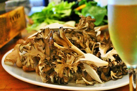 島根県飯南町産 生舞茸セット 約400ｇ×２株【きのこ キノコ 贈答用 ギフト まいたけ Ａ-93】