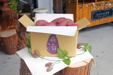 島根県飯南町産サツマイモ 森の絹 生イモ 4kg【さつまいも 農薬不使用Ａ-25】