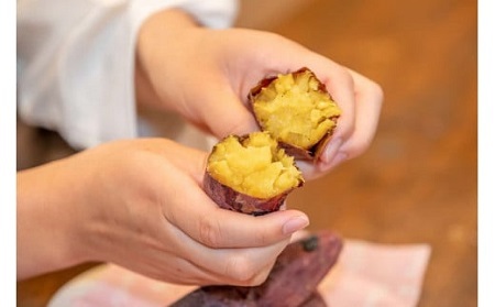 島根県飯南町産サツマイモ 森の絹 生イモ 4kg【さつまいも 農薬不使用Ａ-25】