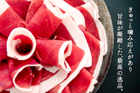 【定期便3回】イノシシ肉 味噌すき鍋セット 約500g