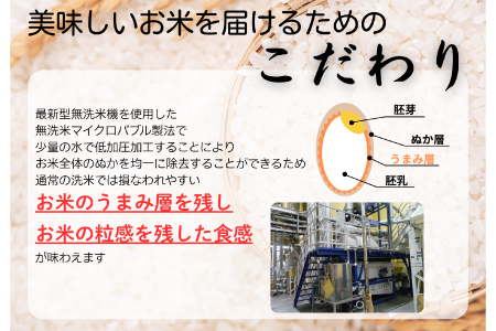 【令和7年産 数量限定】 島根県美郷町産 無洗米きぬむすめ 5kg【お米 5kg 精米 白米 ブランド米 米 きぬむすめ お米 2025年産】