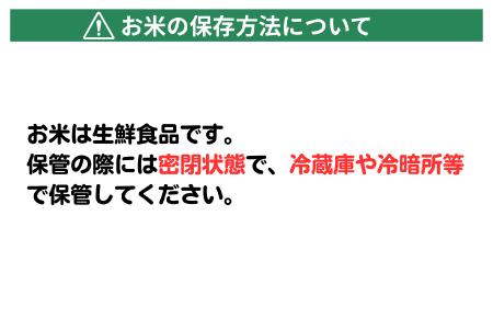 【令和7年産 数量限定】 島根県美郷町産 無洗米きぬむすめ 5kg【お米 5kg 精米 白米 ブランド米 米 きぬむすめ お米 2025年産】