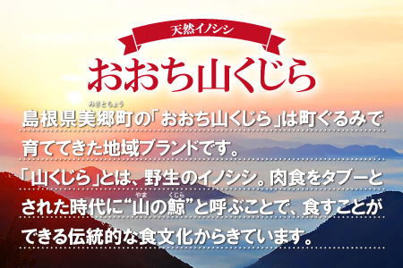 おおち山くじら（イノシシ肉）缶 8缶セット