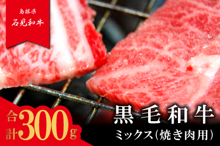 【とろける美味しさ】石見和牛　ミックス焼肉用　300g