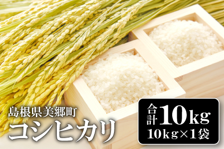 〈先行予約〉新米 令和6年産 美郷町産コシヒカリ 白米 10kg【お米 10kg 1袋 精米 ブランド米 米 こしひかり お米 先行予約 2024年産】