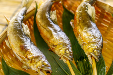 【一級河川・江の川の恵み】島根県産　天然冷凍鮎　約800g