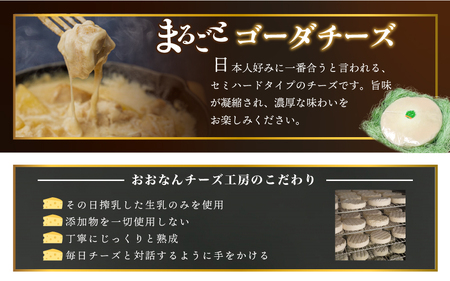 まるごと ゴーダチーズホール (8kg×2個)