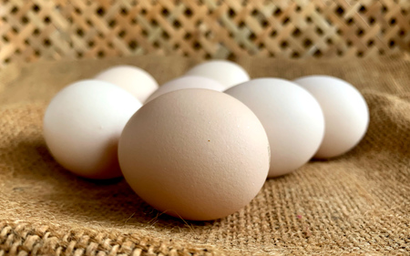 新鮮 石見のネッカたまご 90個 美味しまね認証