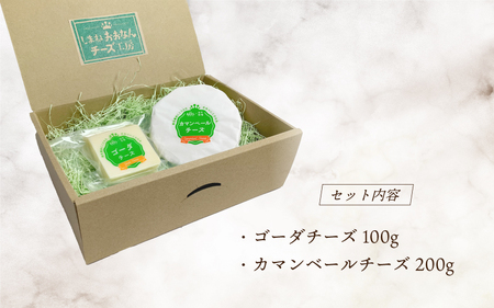 熟成チーズセット(ゴーダチーズ100g・カマンベールチーズ200g)
