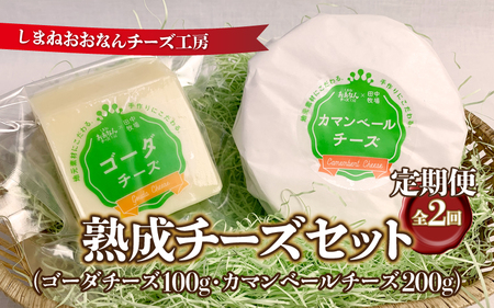 【定期便2回】熟成チーズセット( ゴーダチーズ100g・カマンベールチーズ200g)