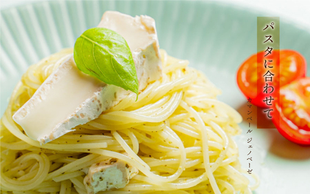 【定期便2回】熟成チーズセット( ゴーダチーズ100g・カマンベールチーズ200g)