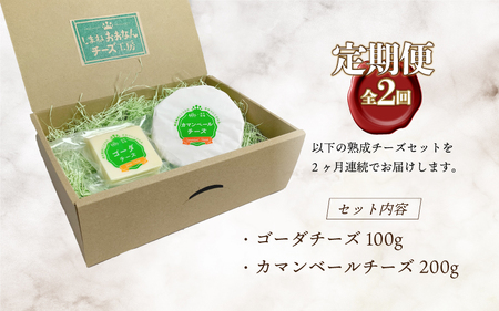 【定期便2回】熟成チーズセット( ゴーダチーズ100g・カマンベールチーズ200g)