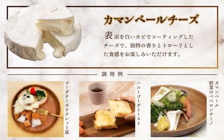 【定期便3回】熟成チーズセット( ゴーダチーズ100g・カマンベールチーズ200g)