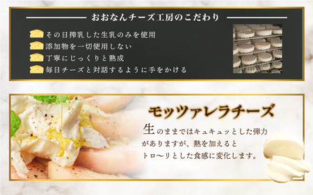 チーズ工房特製 モッツァレラチーズ３個セット