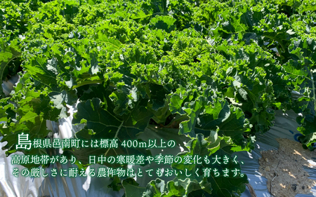 カリーノケール1kg 6月よりお届け