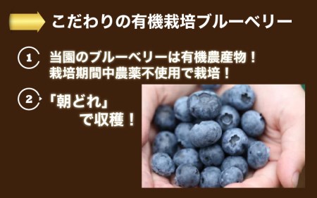有機 冷凍ブルーベリー1.6kg | 島根県邑南町 | ふるさと納税サイト ...