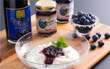 ブルーベリー加工品3点セット