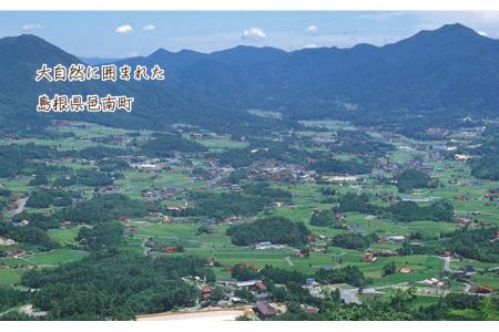 【先行予約】邑南のさくらんぼ（紅秀峰）720g 6月中旬よりお届け