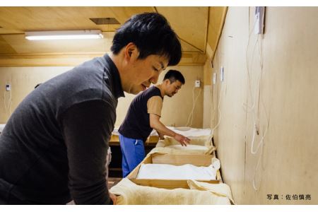 玉櫻 生もと純米酒 1.8L 2本セット