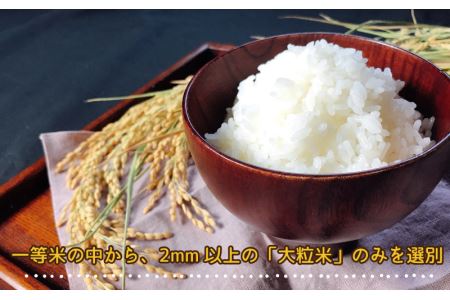 令和7年産邑南町瑞穂産コシヒカリ10kg(5kg×2)