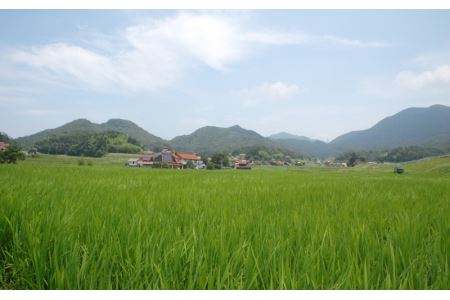 邑南コシヒカリ(白米)5kg