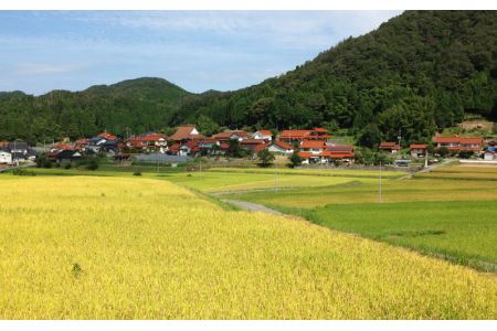 邑南コシヒカリ(白米)5kg