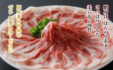 豚肉　石見ポーク　小間切れ2kg（500g×4パック）