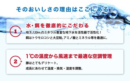 豚肉　石見ポーク　小間切れ2kg（500g×4パック）