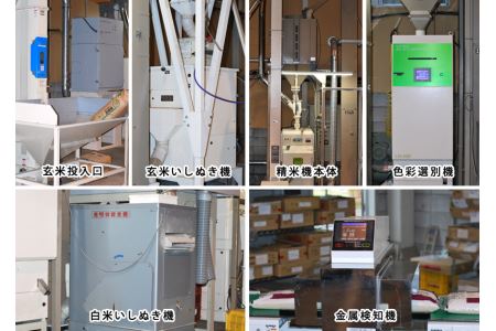 令和7年産【定期便6回】邑南町産きぬむすめ10kg