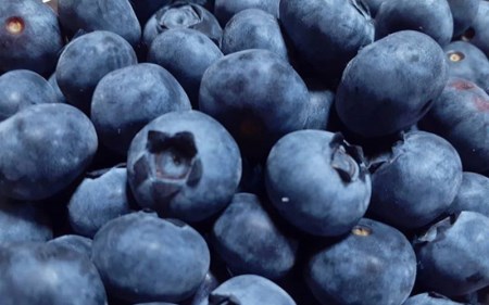 【先行予約】【期間限定】和菓子職人がつくるブルーベリー大福6コ入 2パック