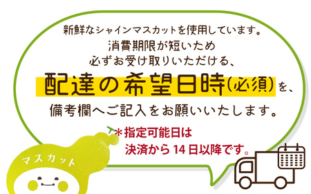 【先行予約】和菓子職人がつくるシャインマスカット大福6コ入　2パック 9月よりお届け 