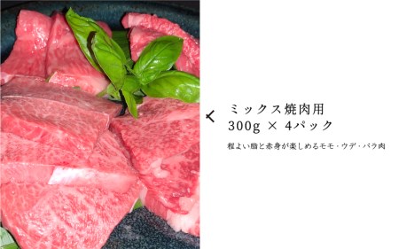 【黒毛和牛】石見和牛たっぷり焼肉セット1.2kg