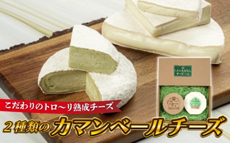 【島根県産】2種類のカマンベールチーズ