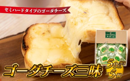 【島根県産】ゴーダチーズ三昧　（50g×5個）