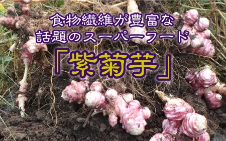 紫菊芋３点セット（菊芋茶、菊芋粉、菊芋節）