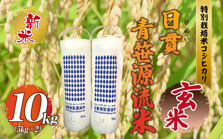 【令和6年産】新米予約【玄米】特別栽培米コシヒカリ 日貫青笹源流米 10kg（5kg×2袋）令和6年10月よりお届け