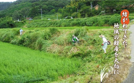 【令和6年産】新米予約【玄米】特別栽培米コシヒカリ 日貫青笹源流米 10kg（5kg×2袋）令和6年10月よりお届け