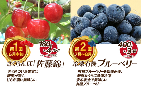 【先行予約】【数量限定】新鮮フルーツの定期便 年4回お届け（さくらんぼ佐藤錦、冷凍ブルーベリー、ピオーネ、シャインマスカット）　
