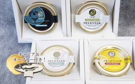 【定期便4回】セレビアキャビア（4種各10g）