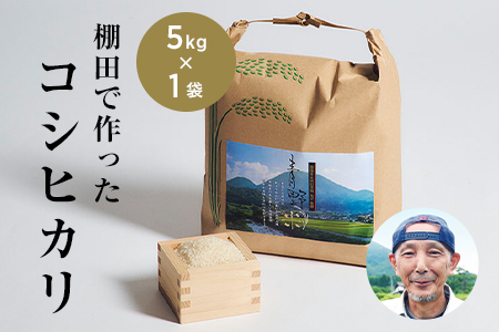 青野山の湧水と朝晩の寒暖差が育んだ棚田の甘～い米「コシヒカリ」(白米5kg×1袋)(令和7年産)【1524991】