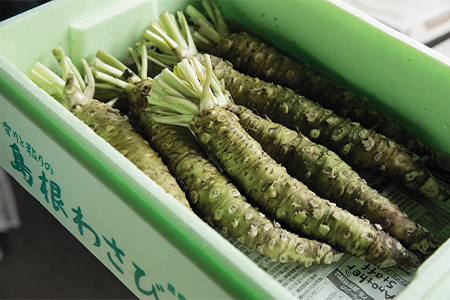 島根わさび(生)180g(2〜4本)