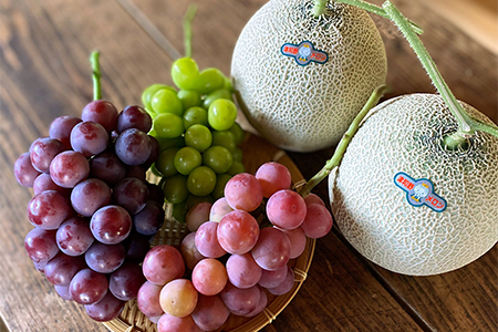 【2026年9月より順次発送・先行受付】アールスメロン2L2玉+ぶどう3種のフルーツ堪能セット【配送不可地域：離島】【1553256】